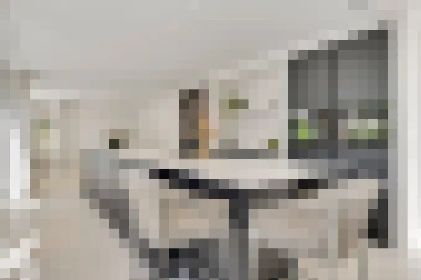 Het Ham 11 Roermond thumbnail 27