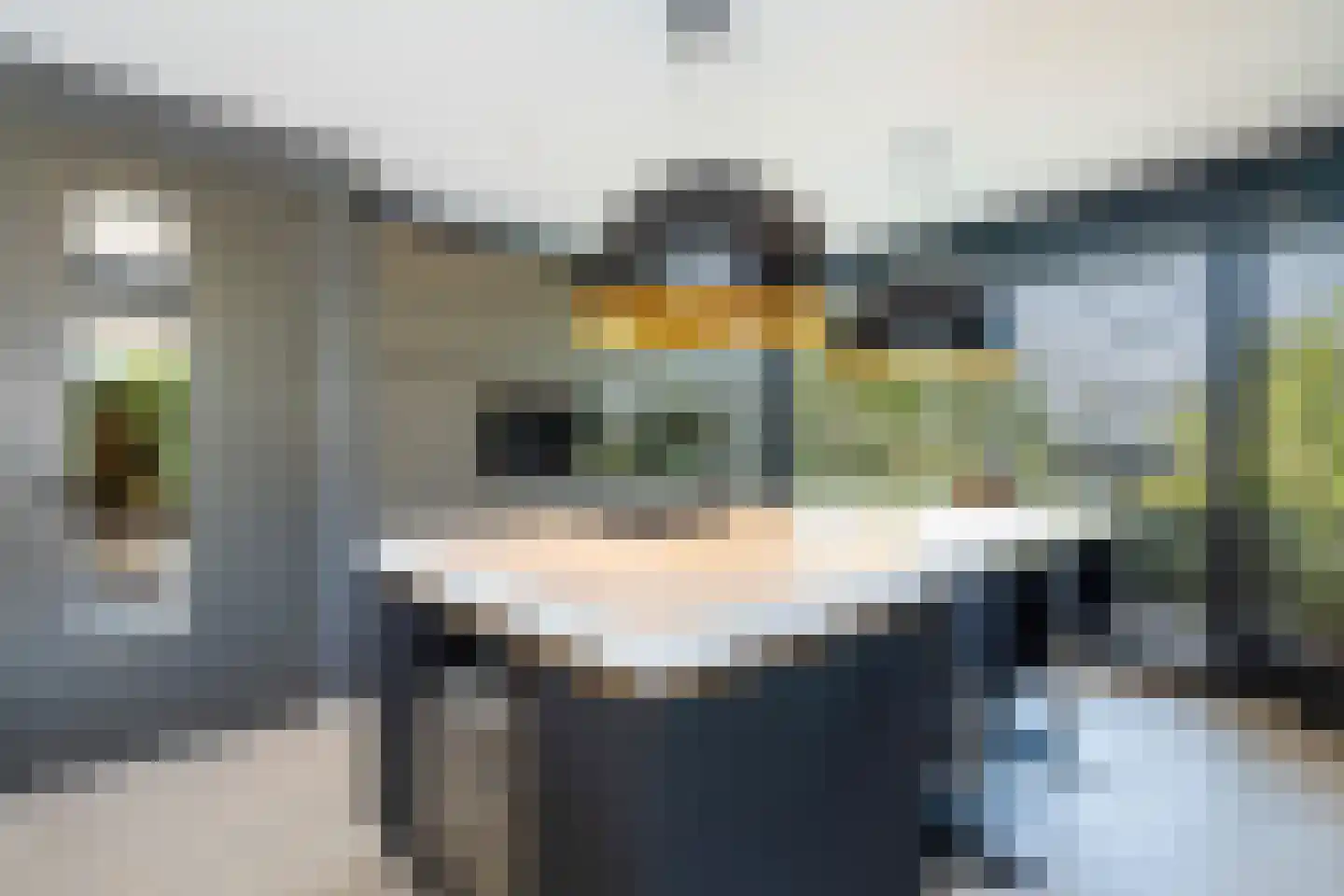 Het Ham 16 Roermond thumbnail 17