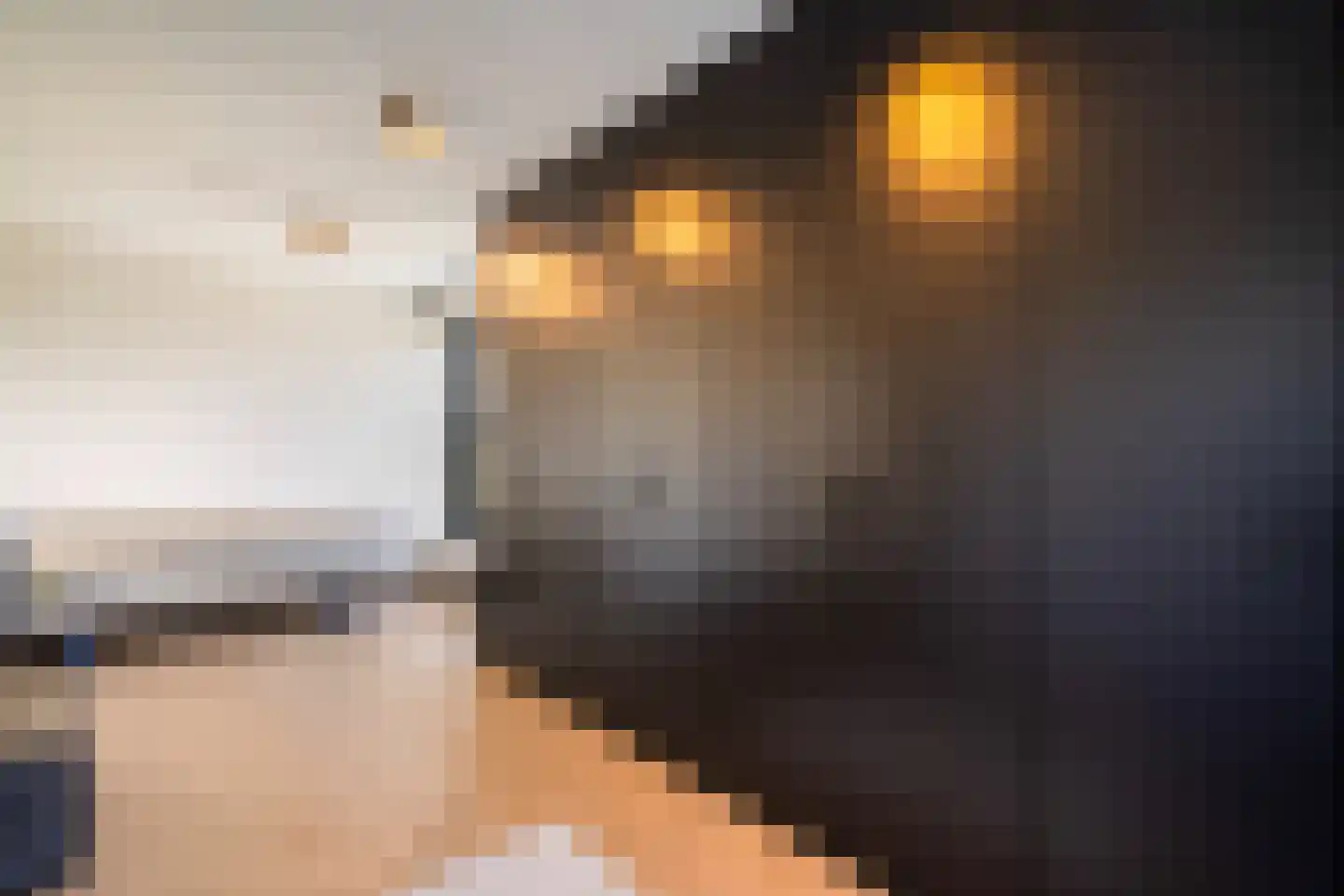Het Ham 16 Roermond thumbnail 39