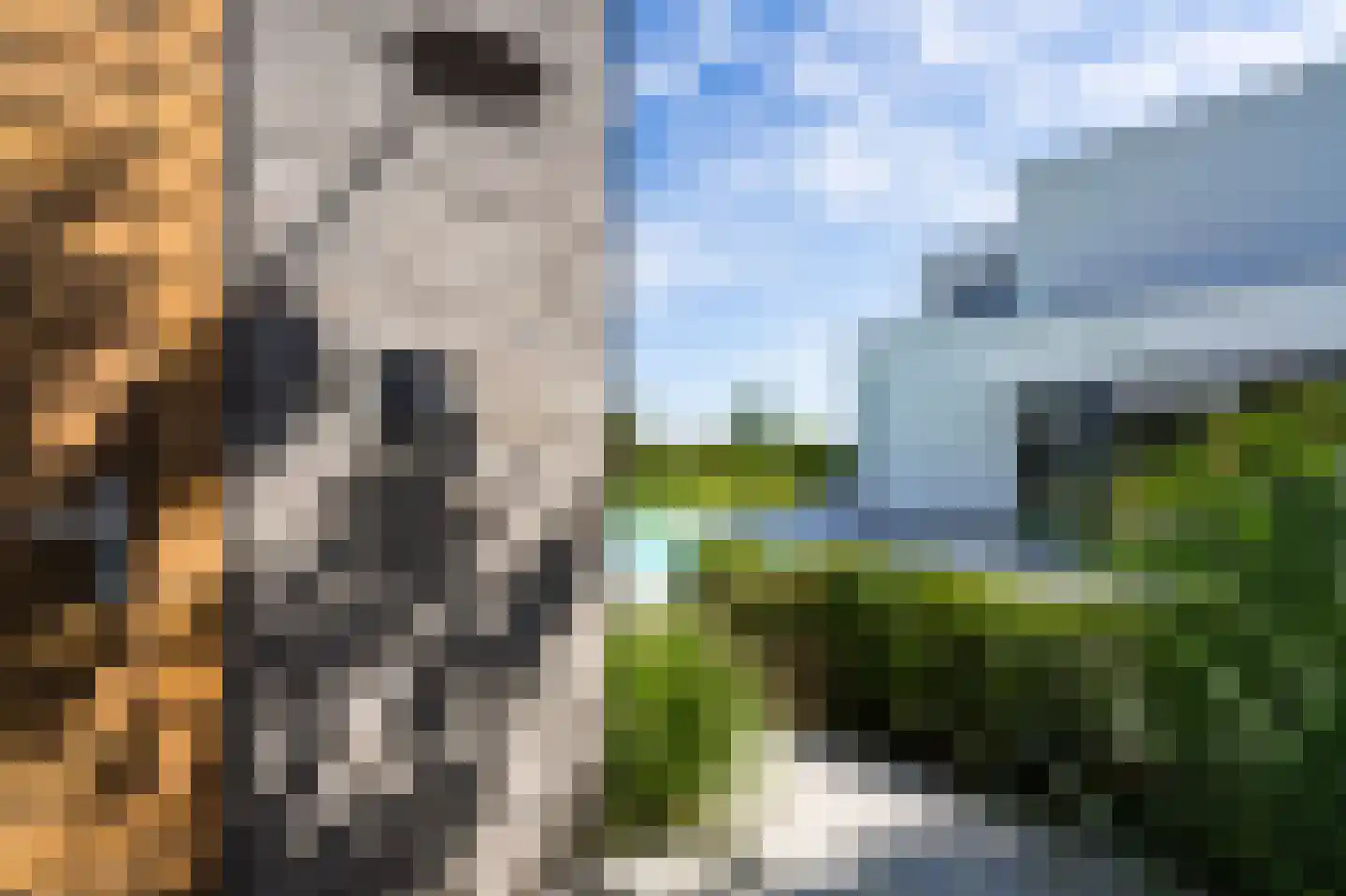 Het Ham 16 Roermond thumbnail 55