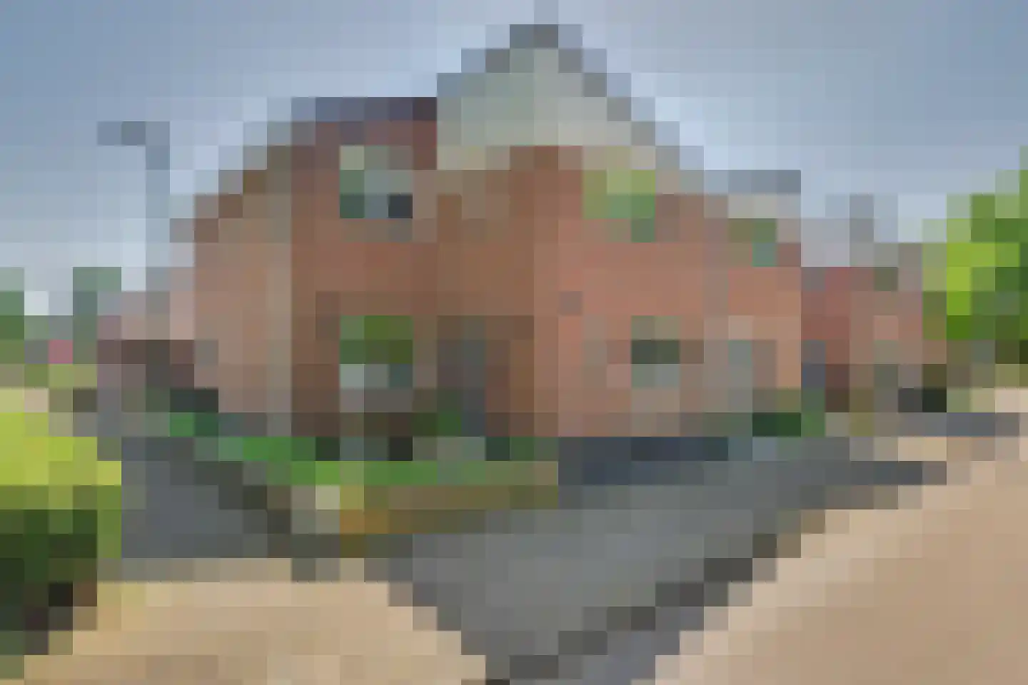 Het Haringvliet 1 en Drunen
