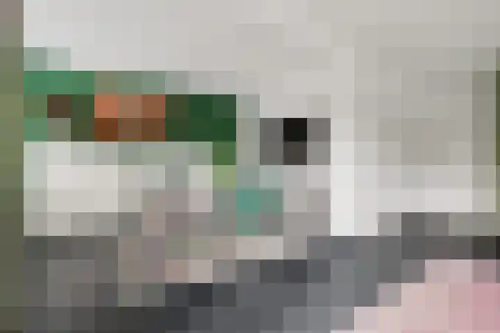 Het Haringvliet 1 Drunen thumbnail 13