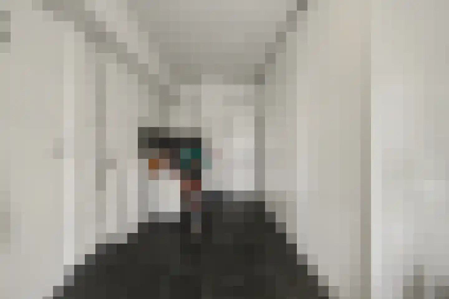 Het Haringvliet 1 Drunen thumbnail 13