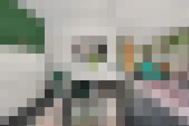 Het Haringvliet 1 Drunen thumbnail 14