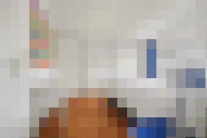 Het Haringvliet 1 Drunen thumbnail 22