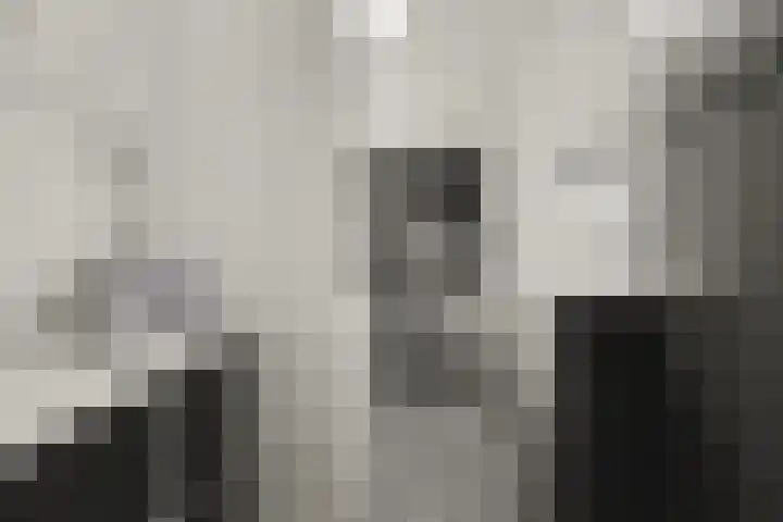 Het Haringvliet 1 Drunen thumbnail 26