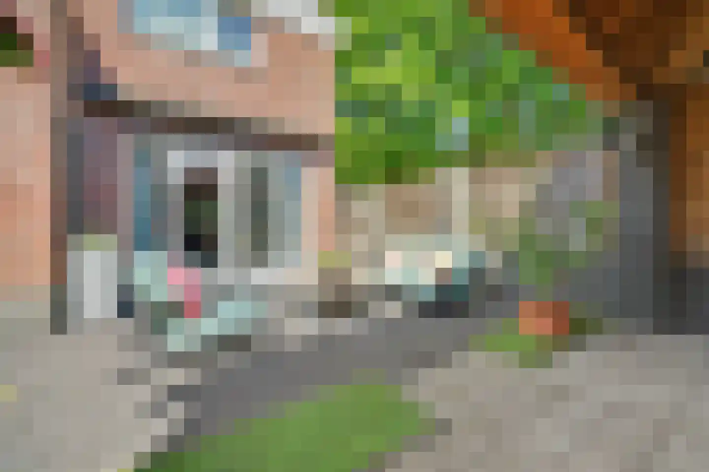 Het Haringvliet 1 Drunen thumbnail 28