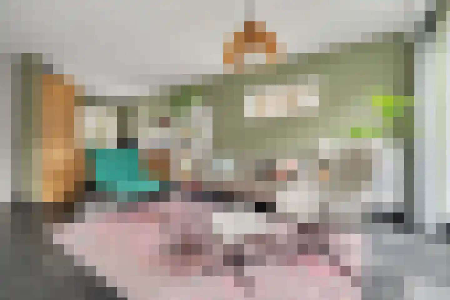 Het Haringvliet 1 Drunen foto 3