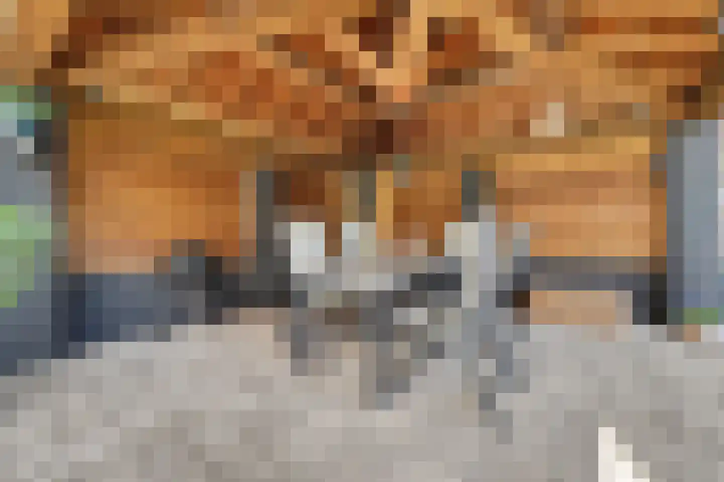 Het Haringvliet 1 Drunen thumbnail 30