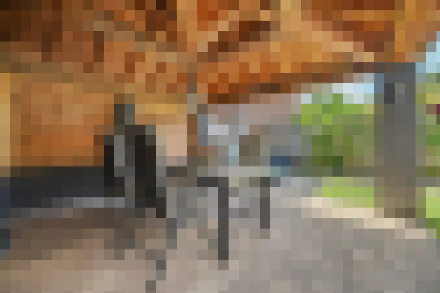 Het Haringvliet 1 Drunen thumbnail 31