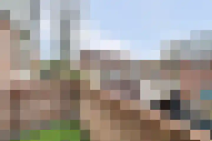 Het Haringvliet 1 Drunen thumbnail 31