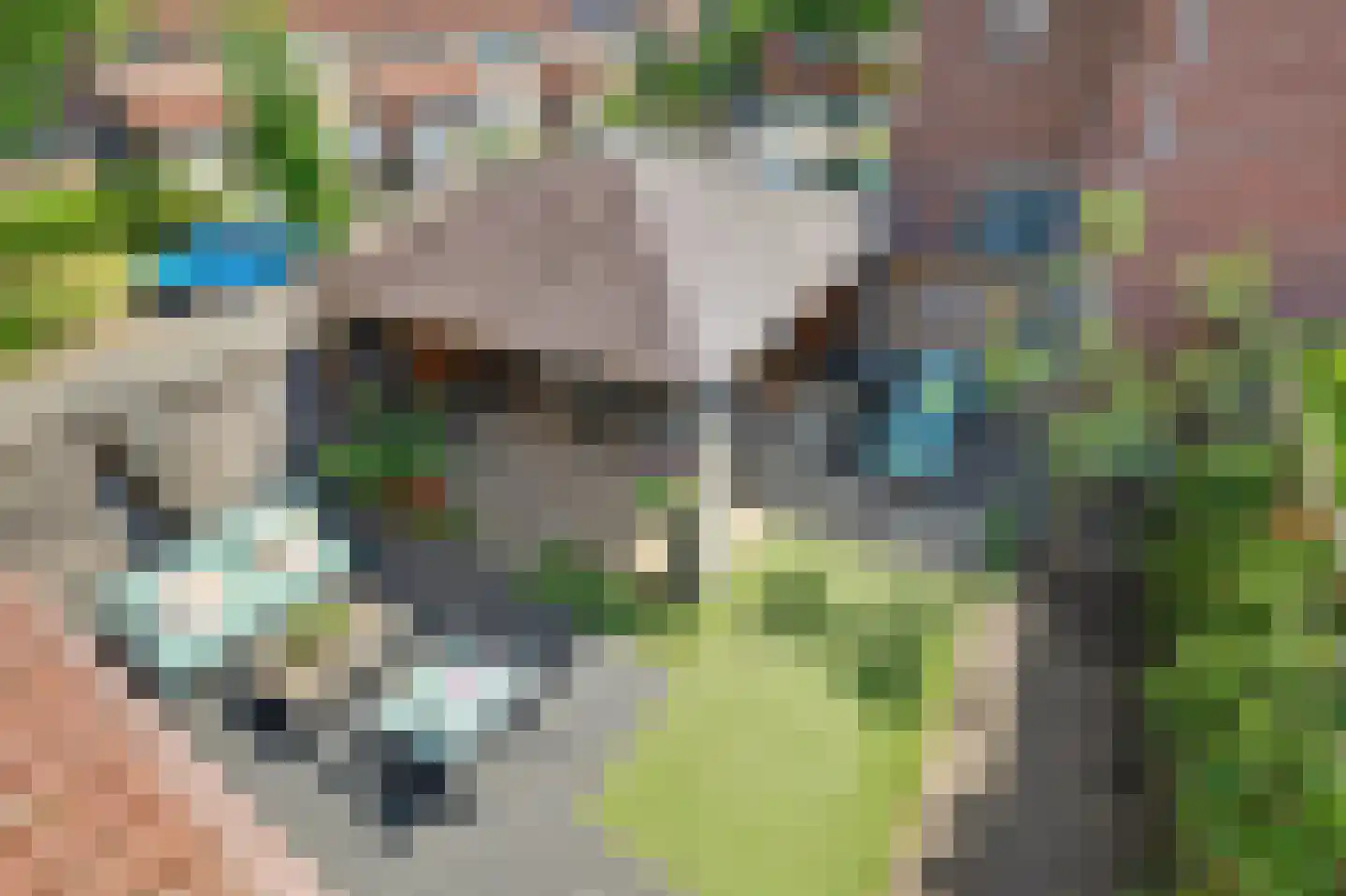Het Haringvliet 1 Drunen thumbnail 34