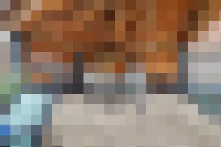 Het Haringvliet 1 Drunen thumbnail 38