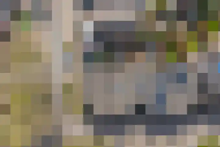 Het Haringvliet 1 Drunen thumbnail 48