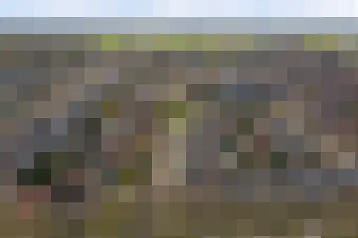 Het Haringvliet 1 Drunen thumbnail 49