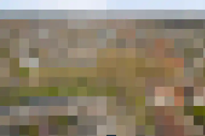 Het Haringvliet 1 Drunen thumbnail 50