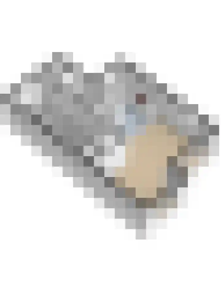 Het Haringvliet 1 Drunen thumbnail 52
