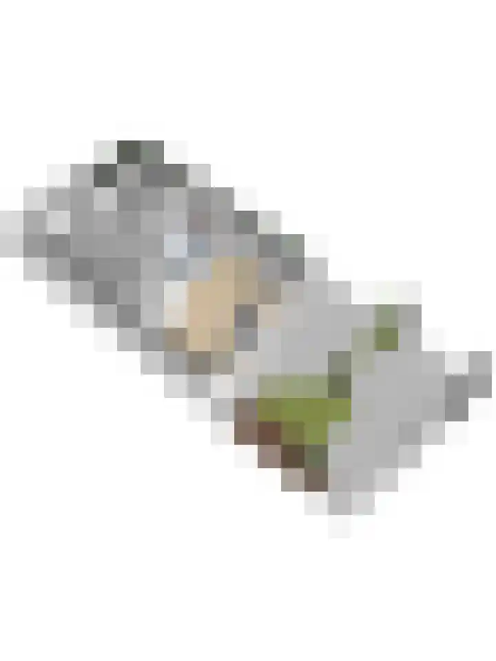 Het Haringvliet 1 Drunen thumbnail 56