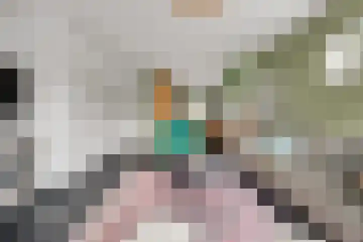 Het Haringvliet 1 Drunen thumbnail 6