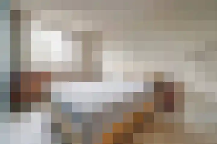 Het Haringvliet 37 Drunen thumbnail 13