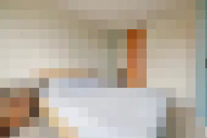 Het Haringvliet 37 Drunen thumbnail 14