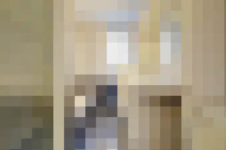 Het Haringvliet 37 Drunen thumbnail 15