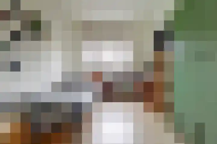 Het Haringvliet 37 Drunen thumbnail 18