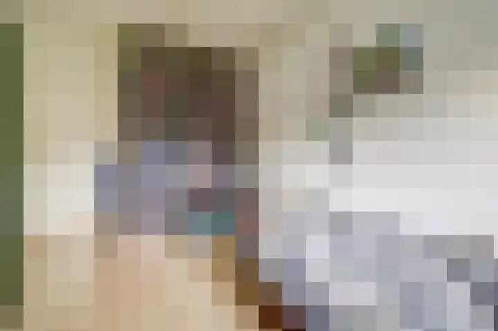 Het Haringvliet 37 Drunen thumbnail 19