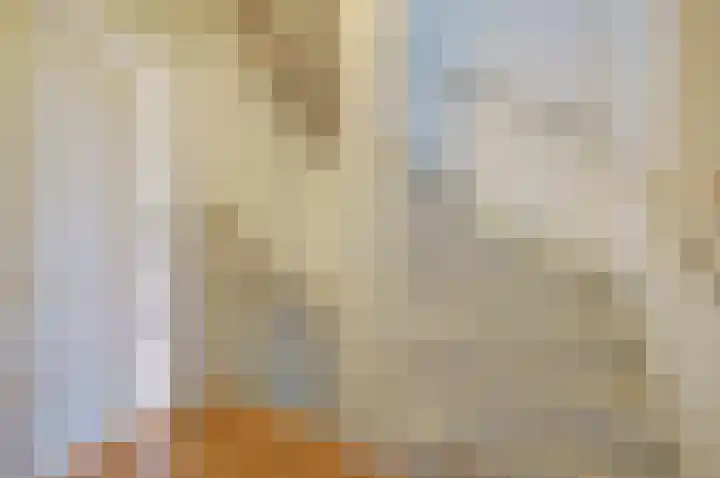 Het Haringvliet 37 Drunen thumbnail 22