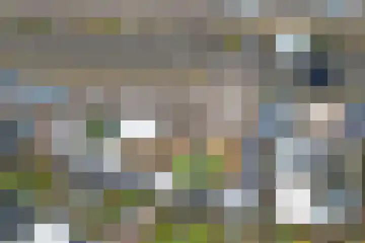Het Haringvliet 37 Drunen thumbnail 33