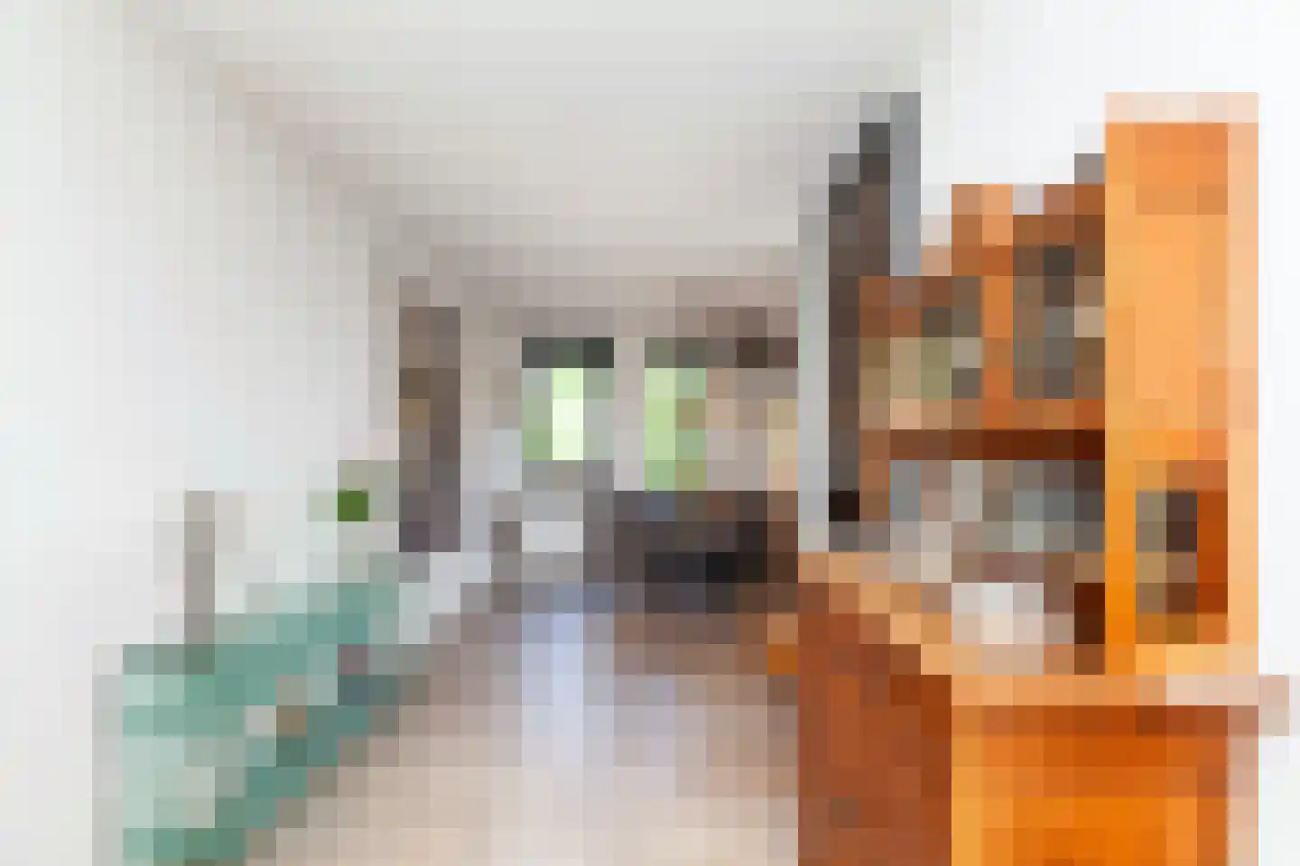 Het Havenhoofd 20 Papendrecht thumbnail 16