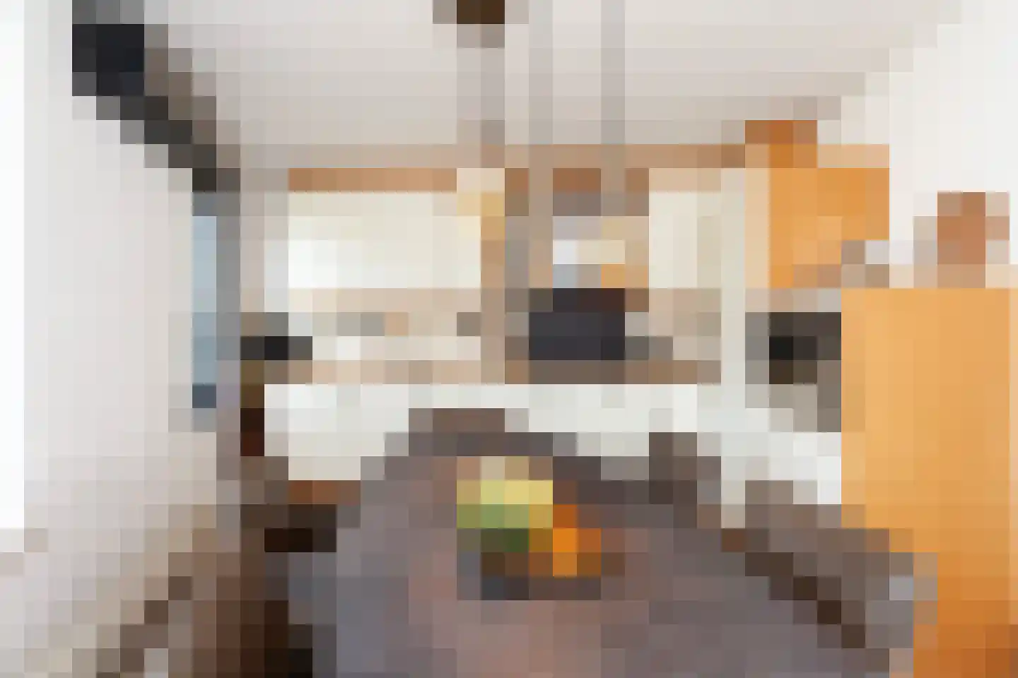 Het Havenhoofd 20 Papendrecht thumbnail 17