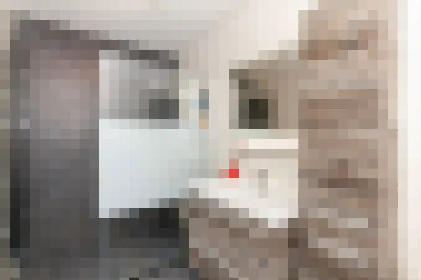 Het Havenhoofd 20 Papendrecht thumbnail 26