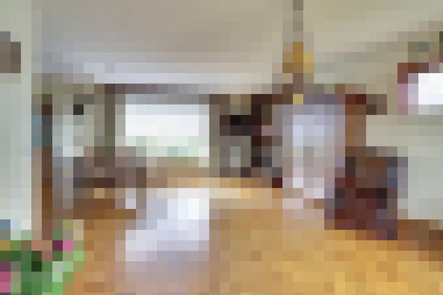 Het Haze-Pad 14 Meijel thumbnail 14