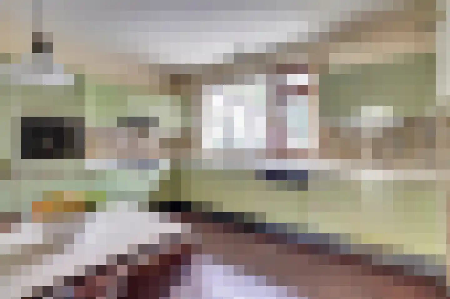 Het Haze-Pad 14 Meijel thumbnail 18
