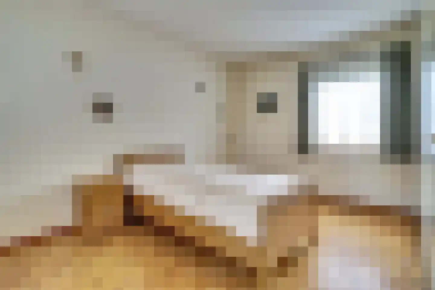 Het Haze-Pad 14 Meijel thumbnail 24