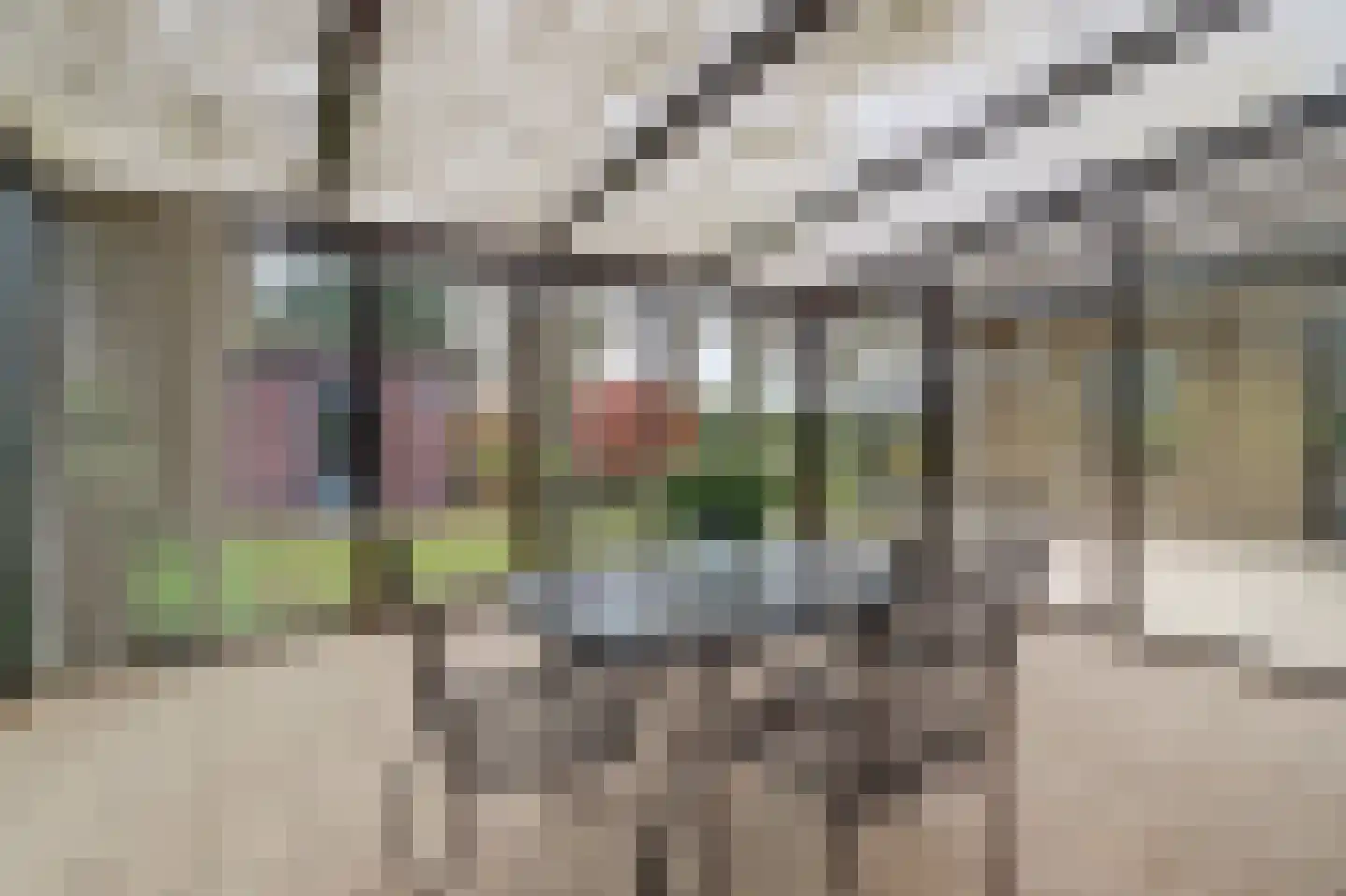 Het Haze-Pad 14 Meijel thumbnail 39