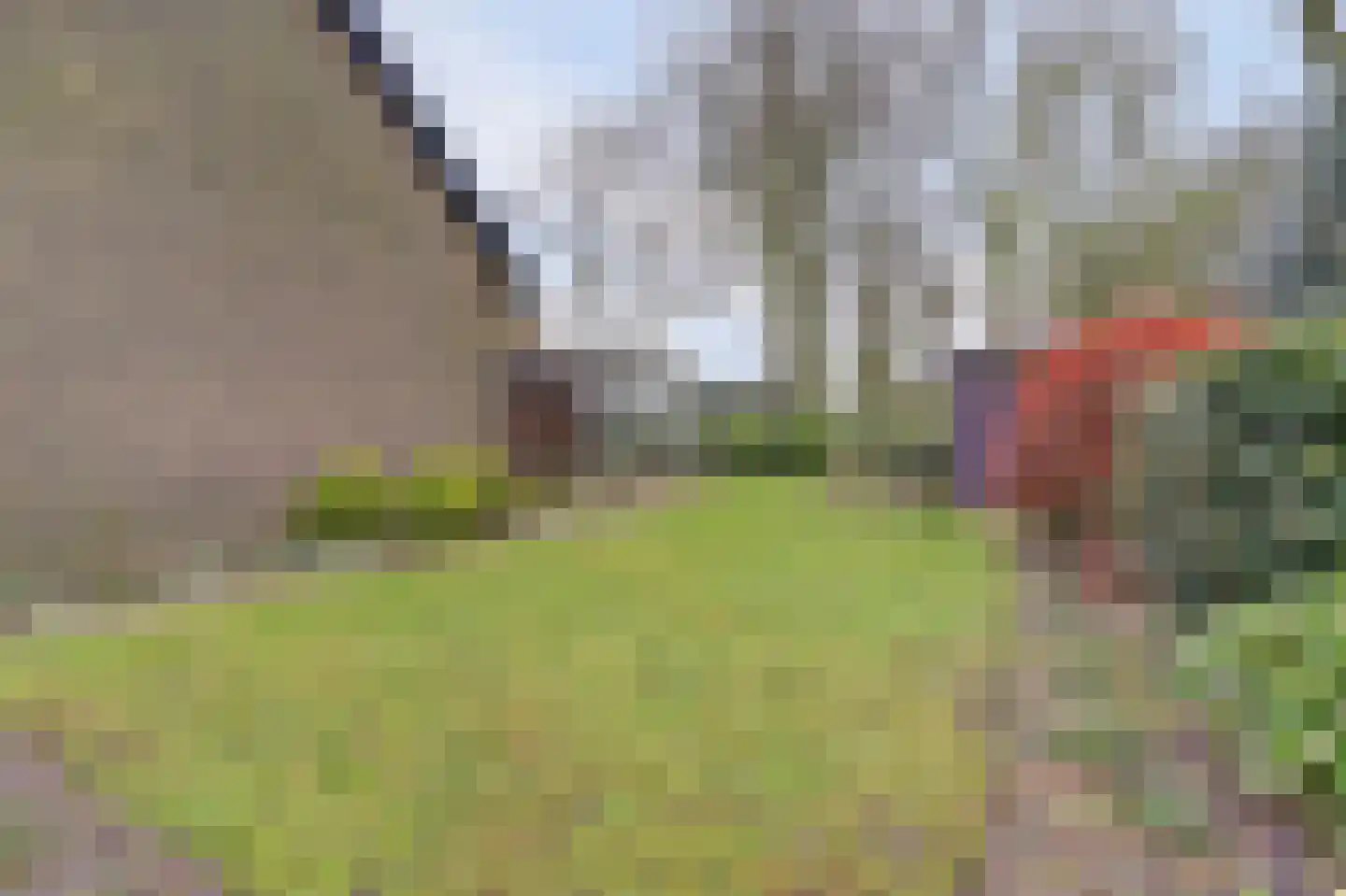 Het Haze-Pad 14 Meijel thumbnail 42