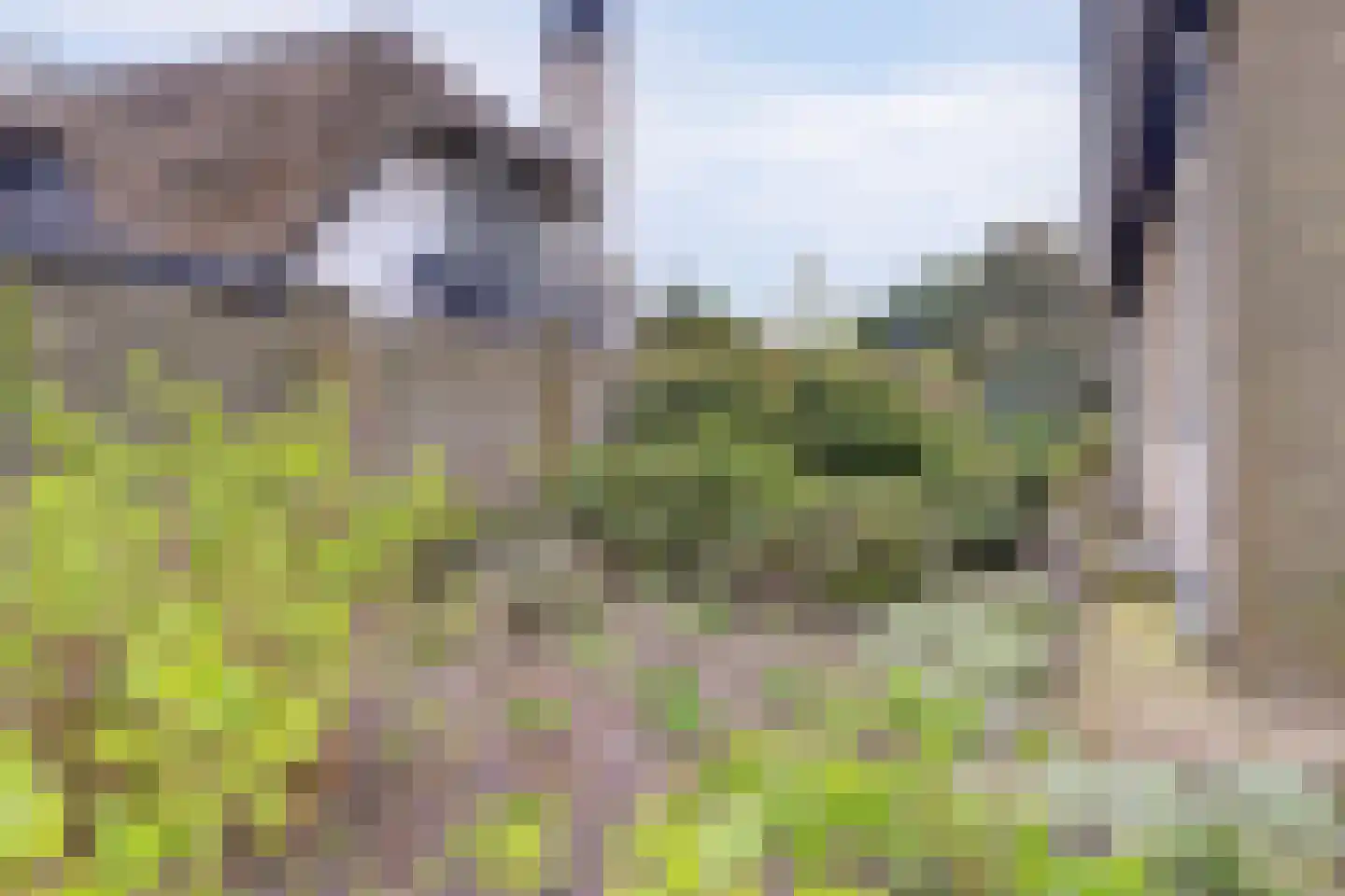 Het Haze-Pad 14 Meijel thumbnail 44