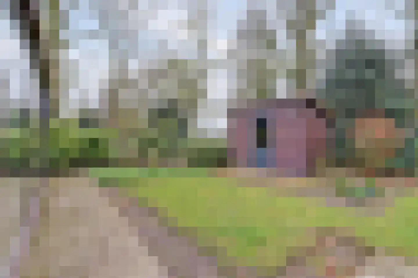 Het Haze-Pad 14 Meijel thumbnail 47