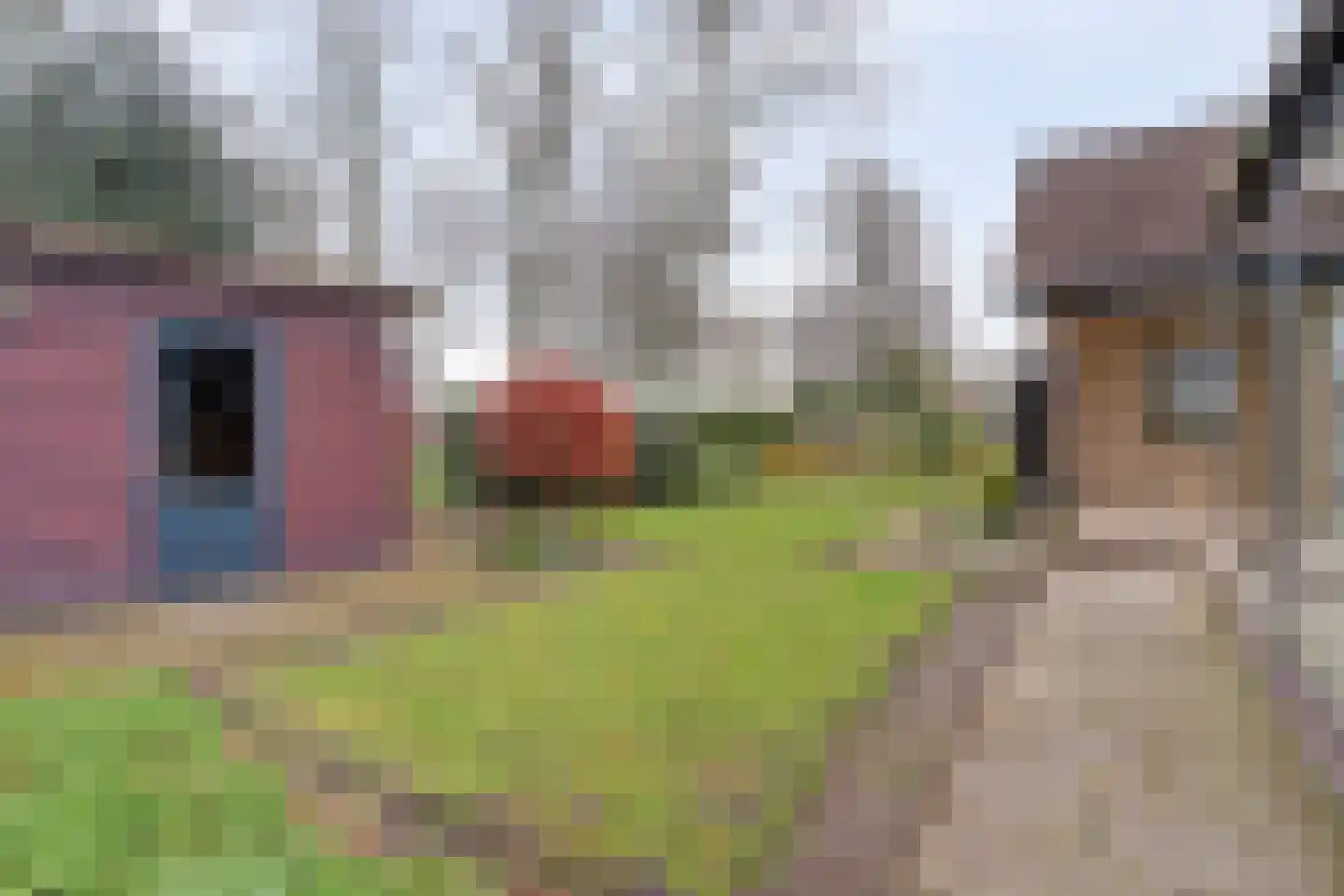 Het Haze-Pad 14 Meijel thumbnail 48