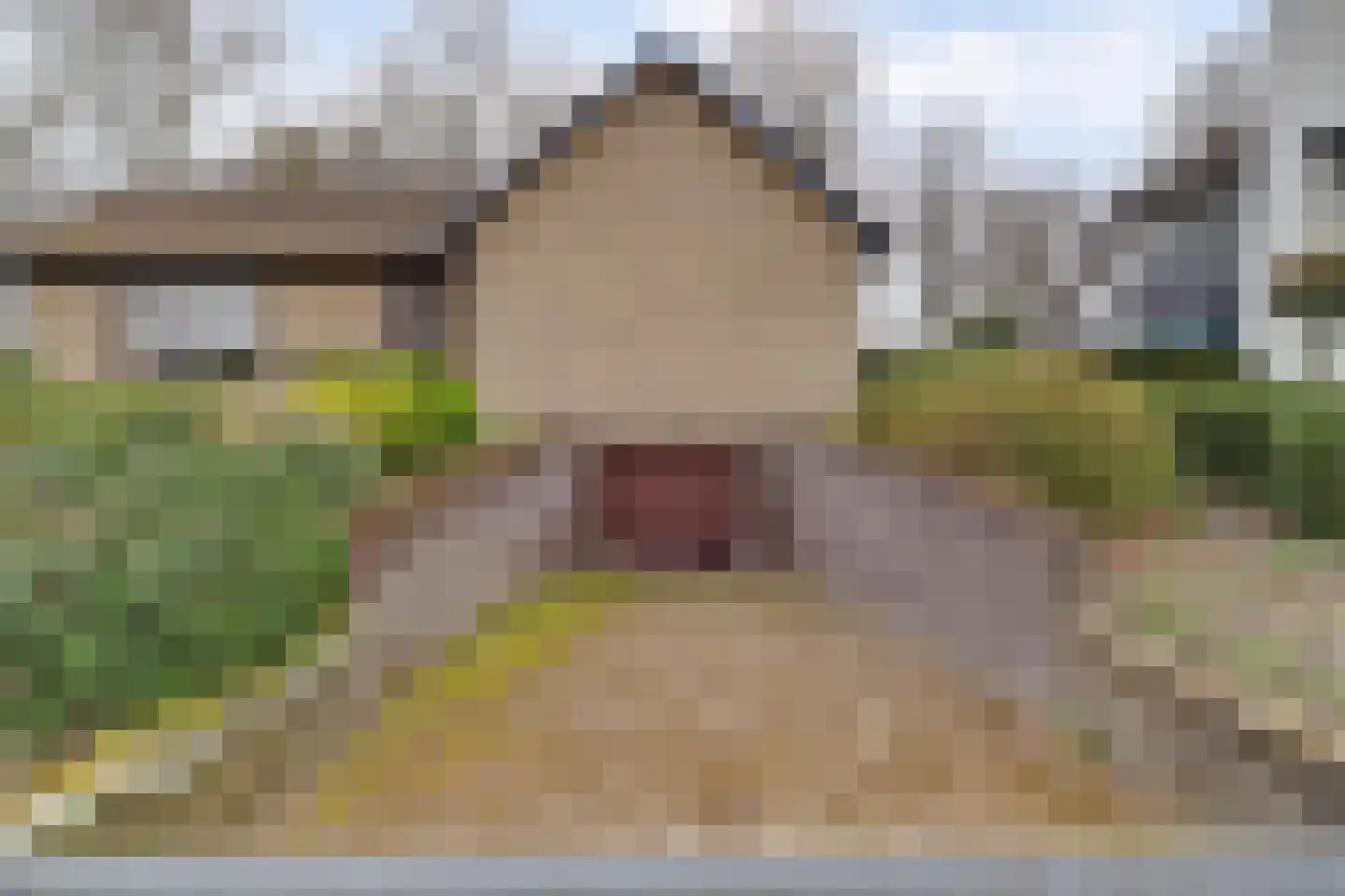 Het Haze-Pad 14 Meijel thumbnail 50