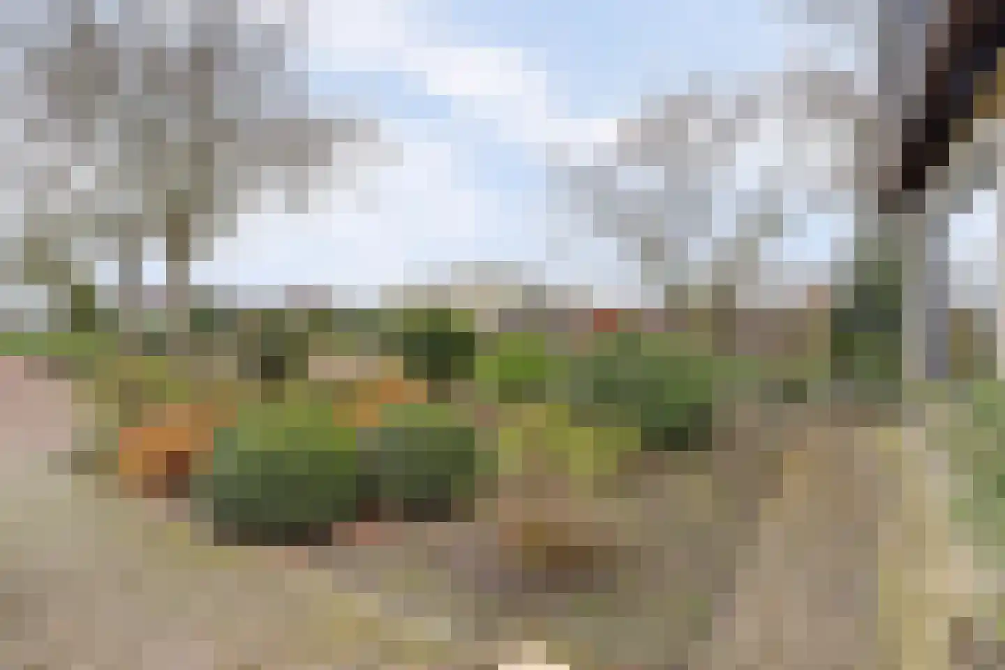 Het Haze-Pad 14 Meijel thumbnail 51