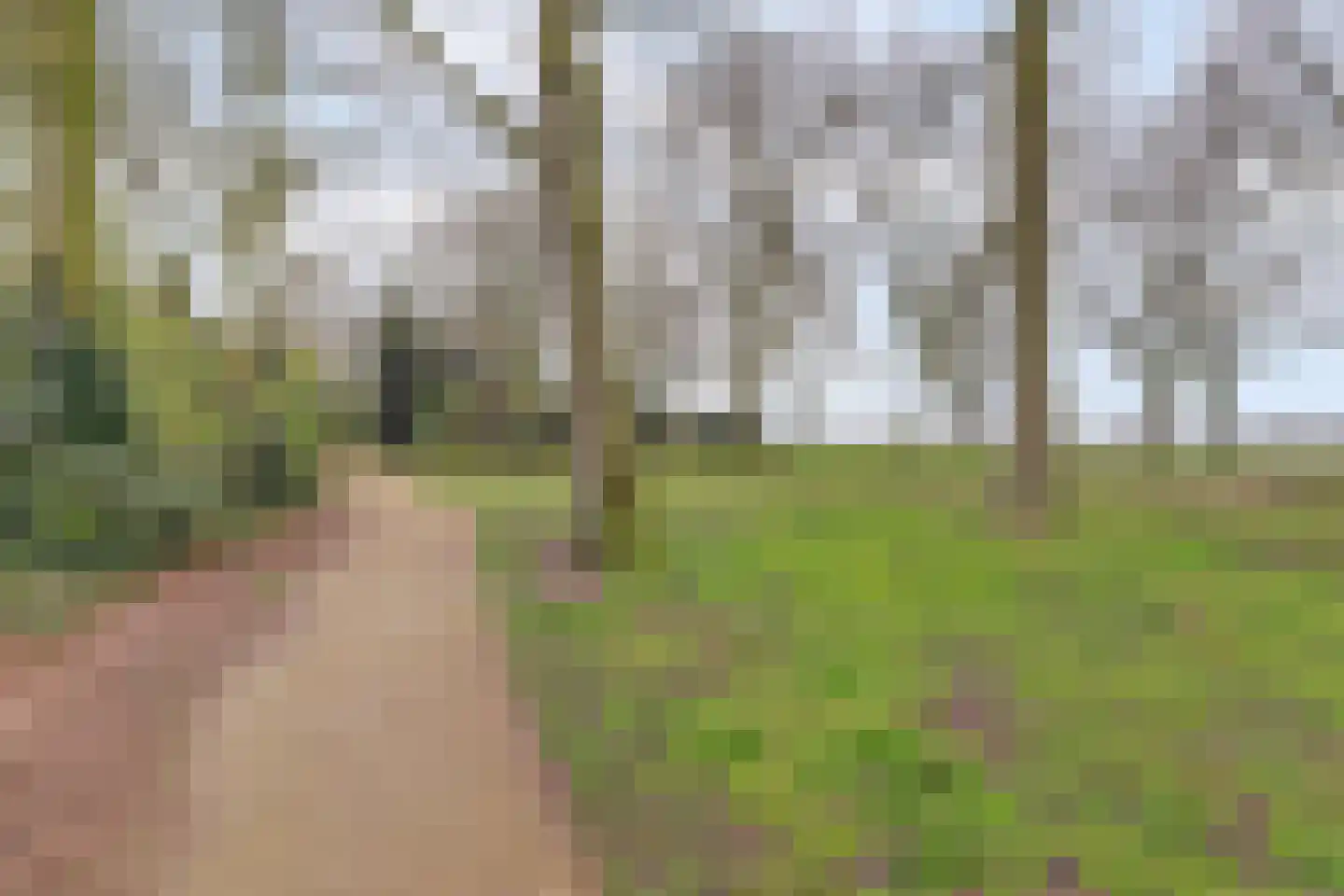 Het Haze-Pad 14 Meijel thumbnail 52