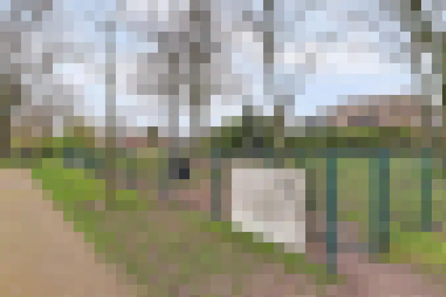 Het Haze-Pad 14 Meijel thumbnail 53