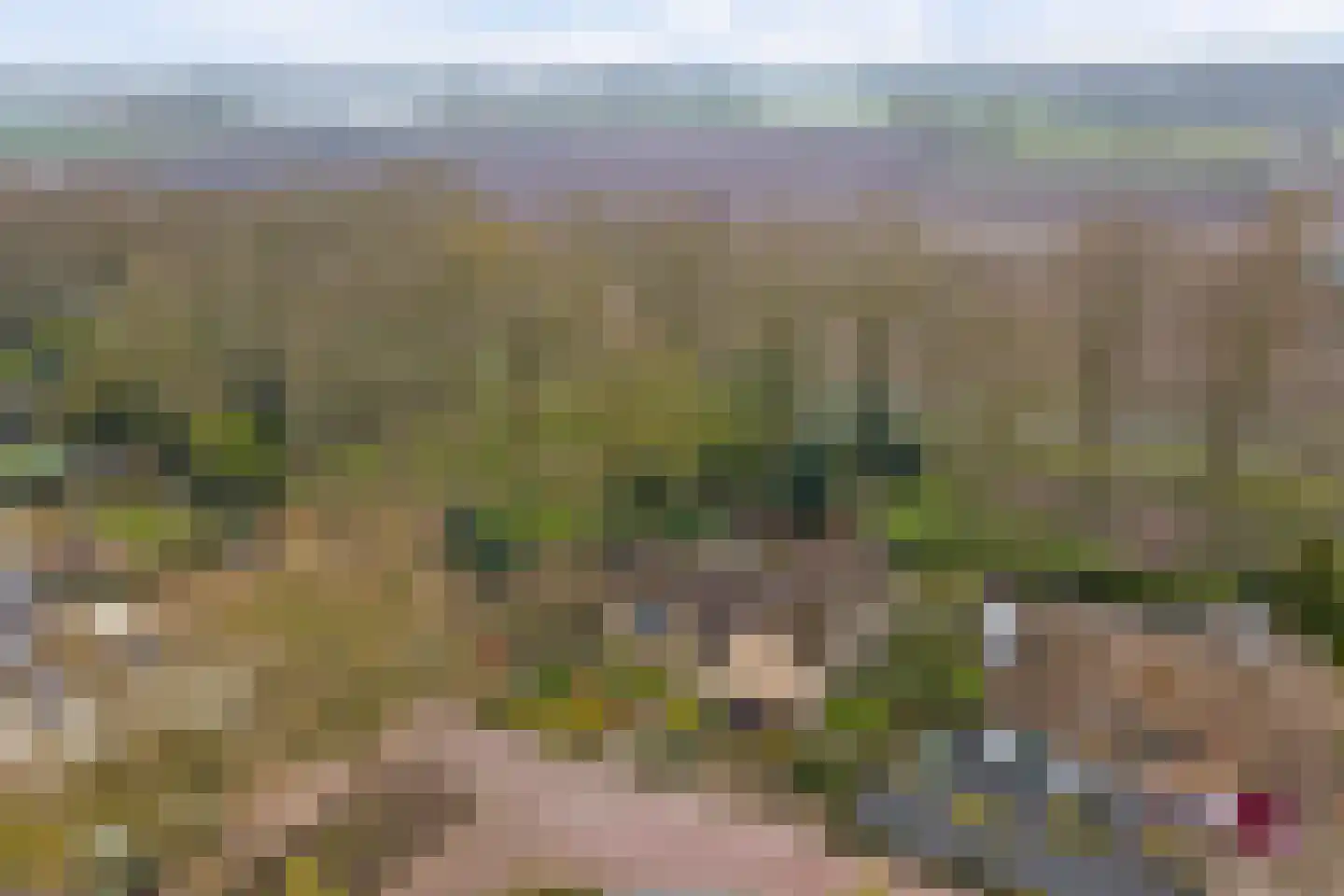 Het Haze-Pad 14 Meijel thumbnail 58