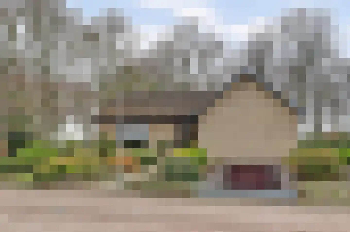 Het Haze-Pad 14 Meijel thumbnail 60
