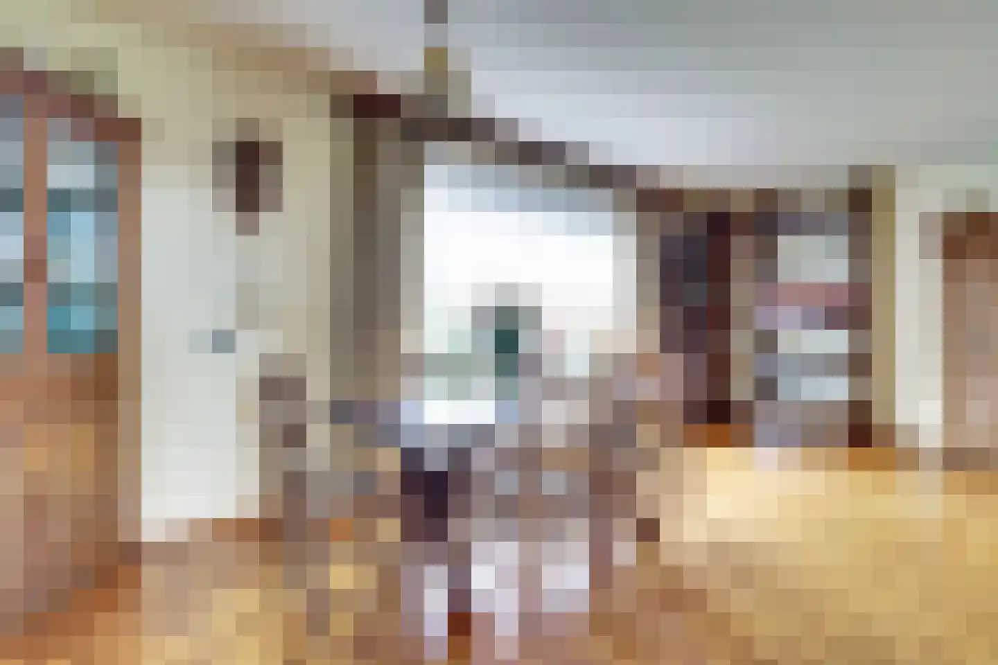 Het Haze-Pad 14 Meijel thumbnail 9