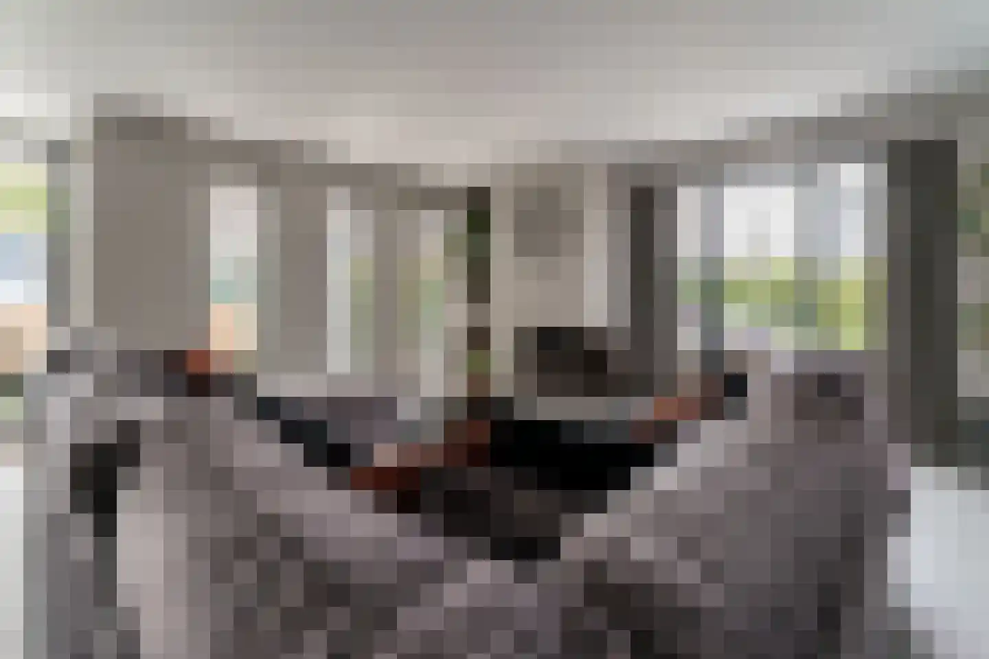 Het Hazeland 12 Westervoort thumbnail 15