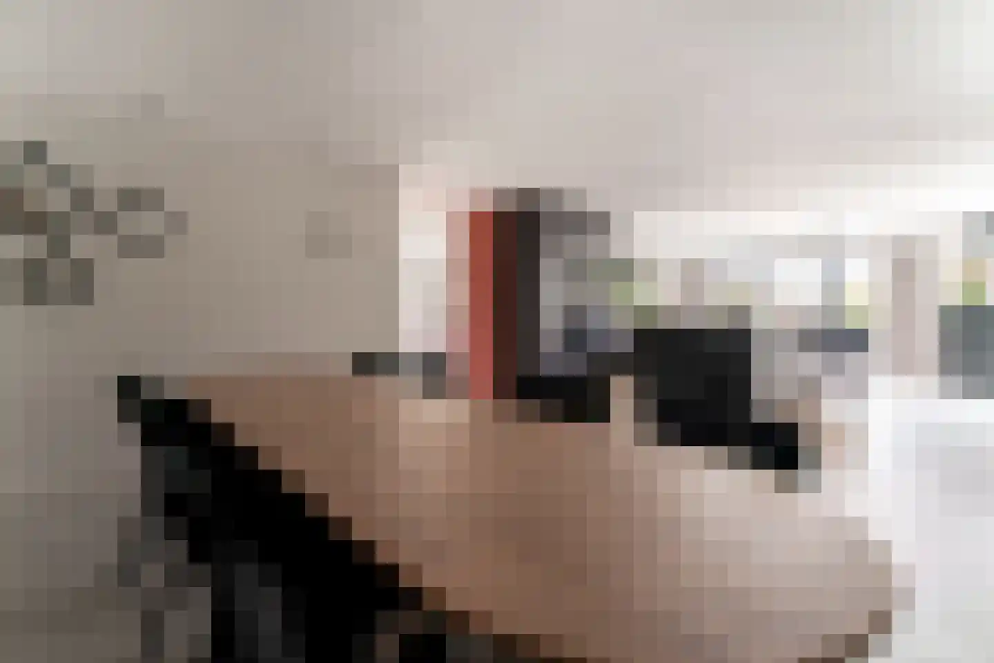 Het Hazeland 12 Westervoort thumbnail 33